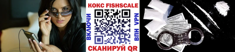 Cocaine Fish Scale  МЕГА ONION  Реутов 