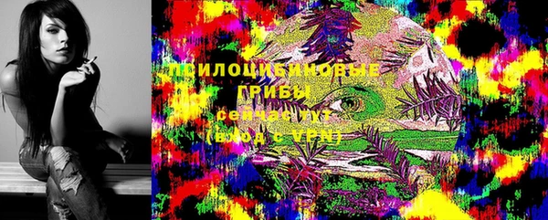 2c-b Липки