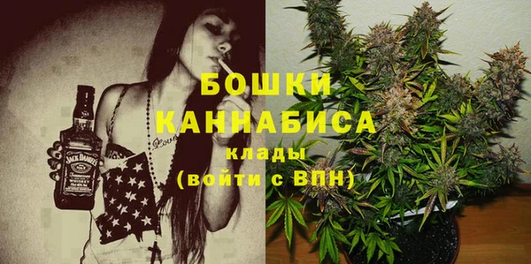 хмурый Лиски