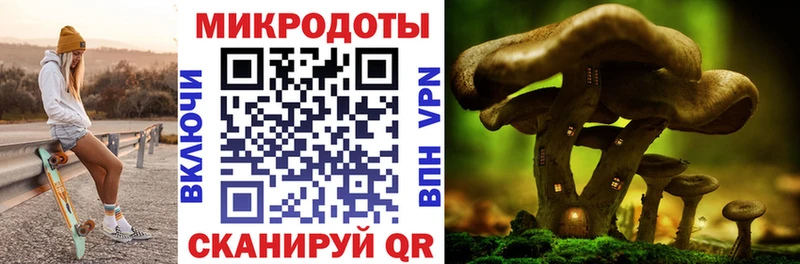 Галлюциногенные грибы Magic Shrooms  где продают наркотики  Реутов 