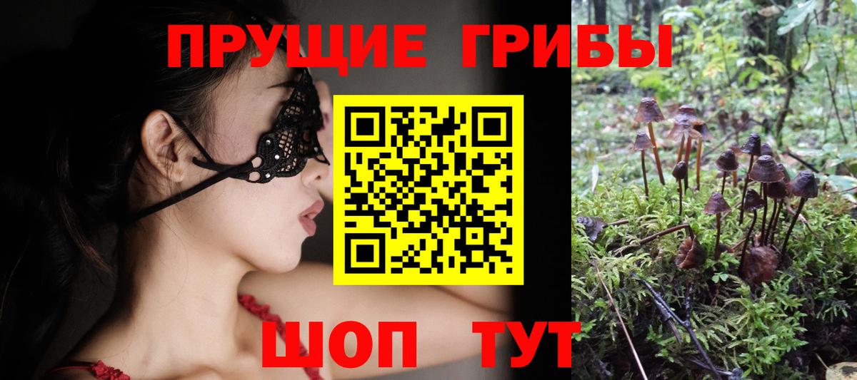 Псилоцибиновые грибы ЛСД Реутов