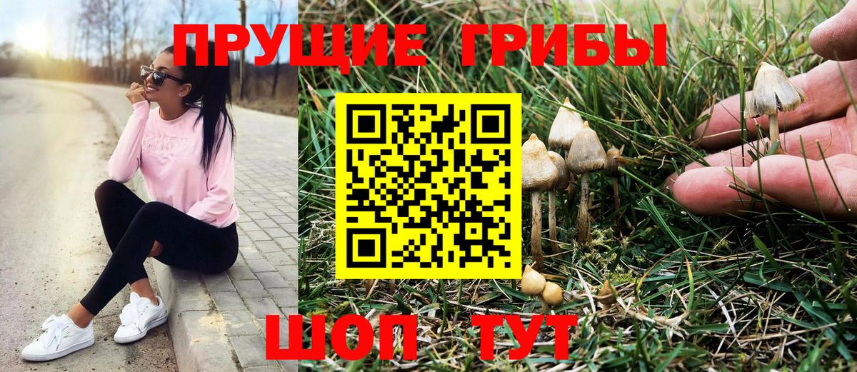 Реутов  Галлюциногенные грибы ЛСД  Псилоцибиновые грибы GOLDEN TEACHER  Вход с VPN 